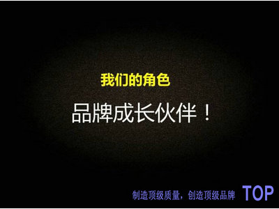 公司简介